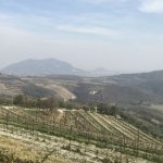 I Colli Euganei (M. Gambillara)